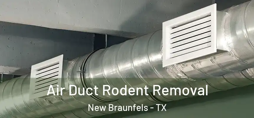 Air Duct Rodent Removal New Braunfels - TX