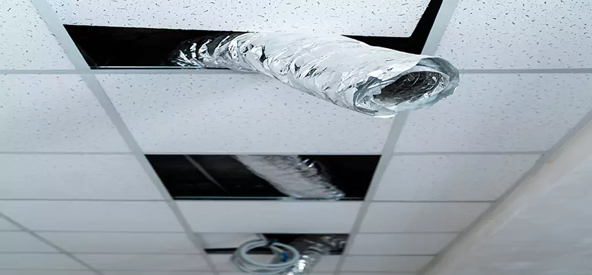 Our Air Duct Pet Hair Removal Services in New Braunfels, TX