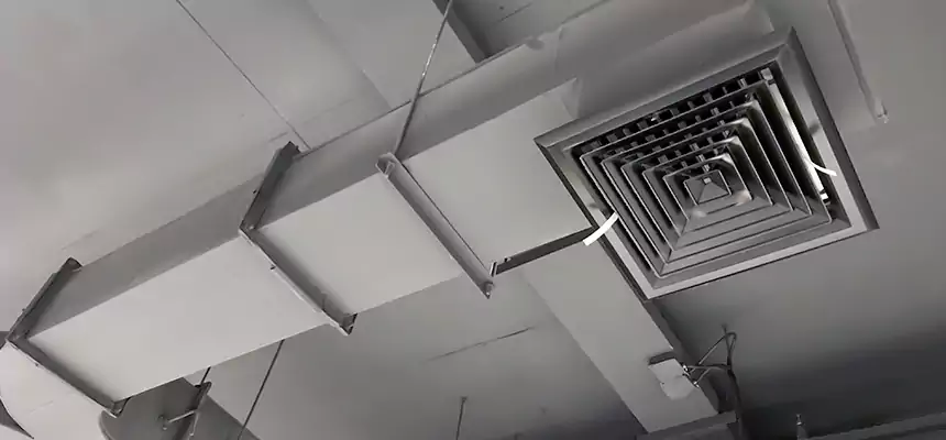 Restorative Allergy Relief Vent Cleaning – Coil, Blower & Housing Detail in New Braunfels