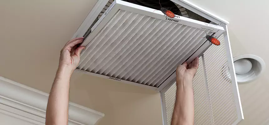 Our Insect Removal from Air Ducts Services in New Braunfels, TX