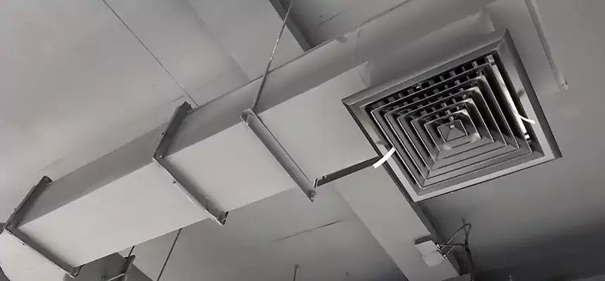 Our Pest Removal From Ducts Services in New Braunfels, TX