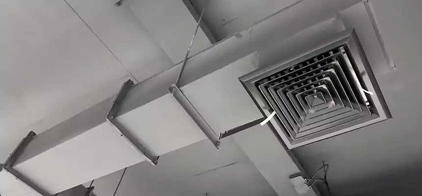 Our Rodent Droppings In Vents Services in New Braunfels, TX