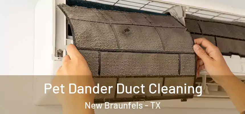 Pet Dander Duct Cleaning New Braunfels - TX