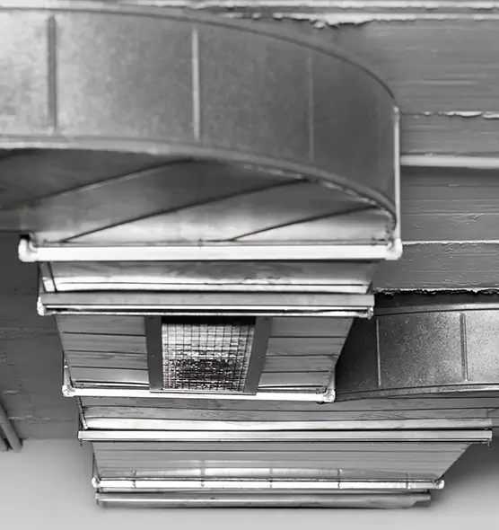 Professional Air Duct Pest Removal in New Braunfels, TX