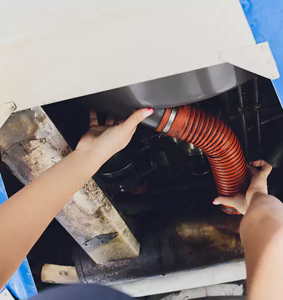 About Air Duct Virus Disinfection in New Braunfels, TX