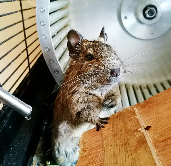 Why Homeowners & Businesses Trust Us New Braunfels, TX