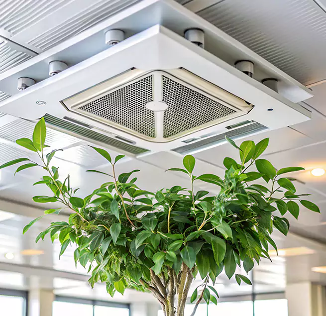 Why Homeowners & Businesses Trust Us in New Braunfels, TX