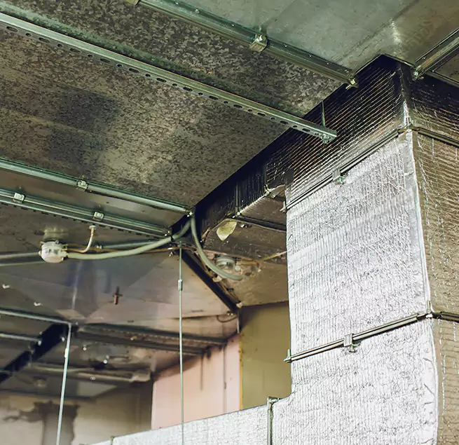 Why Homeowners & Businesses Trust Us in New Braunfels, TX?